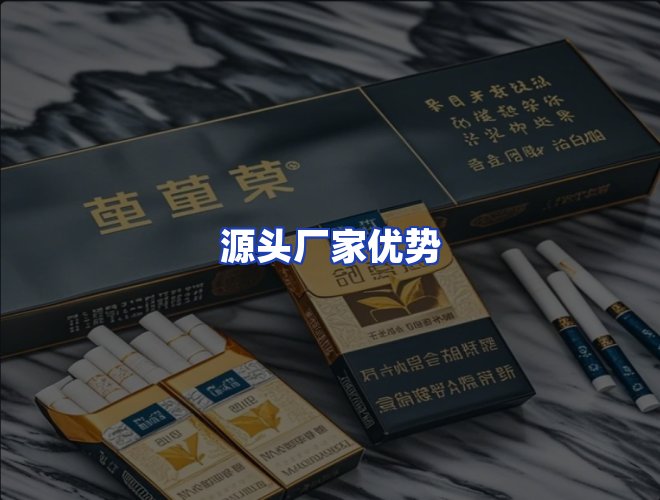 专业团队